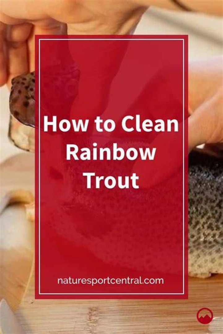 How to clean rainbow trout