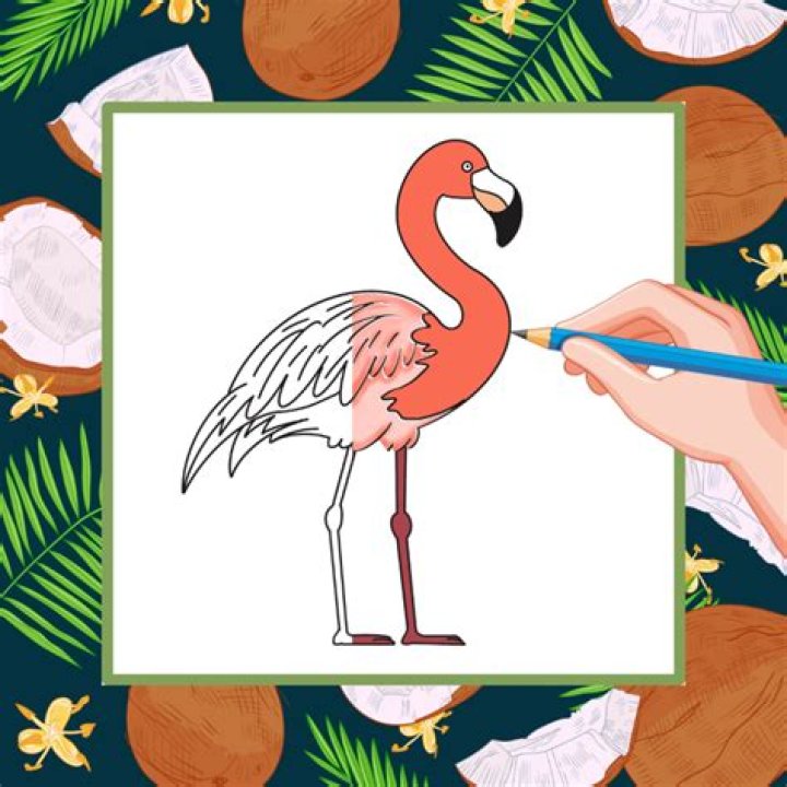 How to spell flamingo