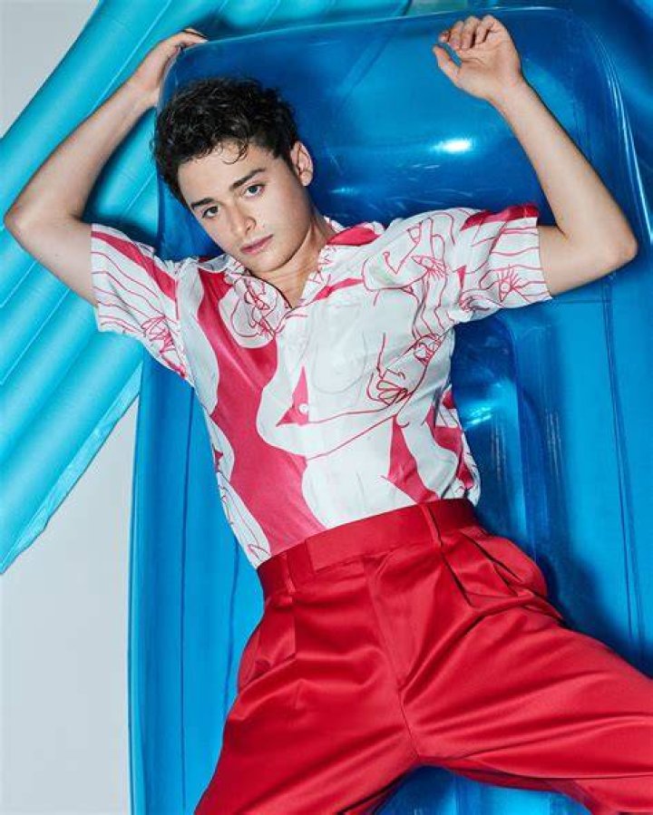 
Is Noah Schnapp gay? 